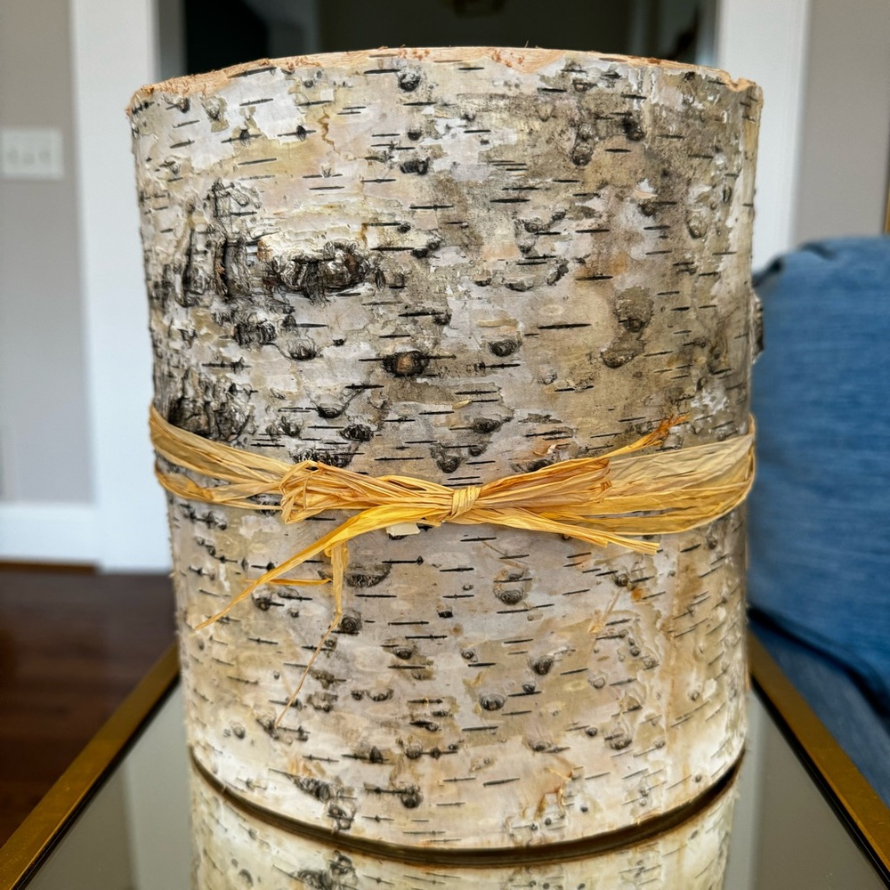 Pottery Barn Birch Bark Glass Cylinder Vase